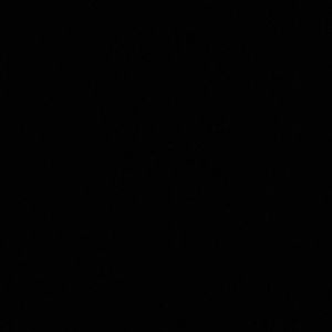 Meet your Posher, Jada